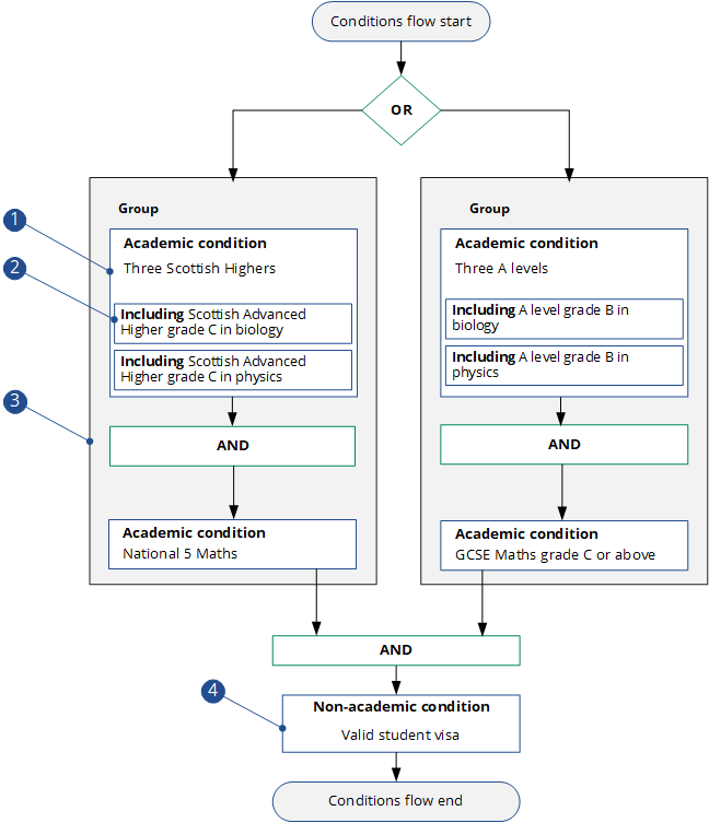 Flow chart detailing the conditions set out in the image Conditions flow user interface